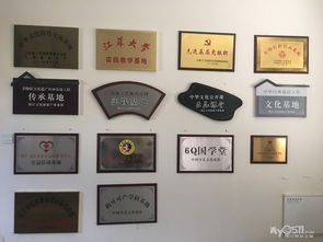 專業(yè)廣告圖文設(shè)計制作與網(wǎng)頁設(shè)計 打造品牌視覺影響力